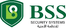 BSS